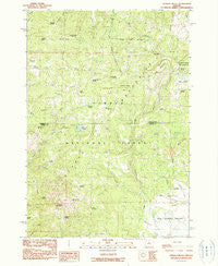 Ochoco Butte Oregon Historical topographic map, 1:24000 scale, 7.5 X 7.5 Minute, Year 1990