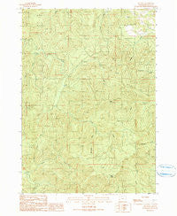 Old Blue Oregon Historical topographic map, 1:24000 scale, 7.5 X 7.5 Minute, Year 1990
