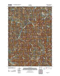 Old Blue Oregon Historical topographic map, 1:24000 scale, 7.5 X 7.5 Minute, Year 2011