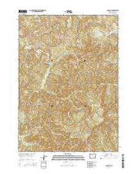 Old Blue Oregon Current topographic map, 1:24000 scale, 7.5 X 7.5 Minute, Year 2014