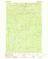 Olive Lake Oregon Historical topographic map, 1:24000 scale, 7.5 X 7.5 Minute, Year 1988