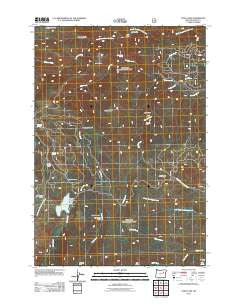 Olive Lake Oregon Historical topographic map, 1:24000 scale, 7.5 X 7.5 Minute, Year 2011