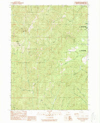 Onion Mountain Oregon Historical topographic map, 1:24000 scale, 7.5 X 7.5 Minute, Year 1989