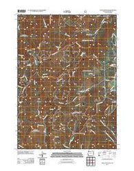 Onion Mountain Oregon Historical topographic map, 1:24000 scale, 7.5 X 7.5 Minute, Year 2011
