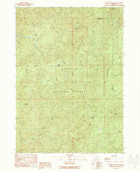 Ophir Mountain Oregon Historical topographic map, 1:24000 scale, 7.5 X 7.5 Minute, Year 1989