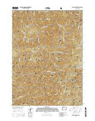 Ophir Mountain Oregon Current topographic map, 1:24000 scale, 7.5 X 7.5 Minute, Year 2014