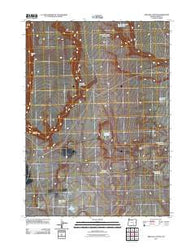 Orejana Canyon Oregon Historical topographic map, 1:24000 scale, 7.5 X 7.5 Minute, Year 2011