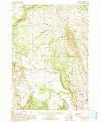Otis Mountain Oregon Historical topographic map, 1:24000 scale, 7.5 X 7.5 Minute, Year 1990