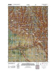 Owens Butte Oregon Historical topographic map, 1:24000 scale, 7.5 X 7.5 Minute, Year 2011