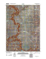 Owyhee Butte Oregon Historical topographic map, 1:24000 scale, 7.5 X 7.5 Minute, Year 2011