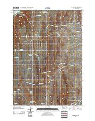 Owyhee Ridge Oregon Historical topographic map, 1:24000 scale, 7.5 X 7.5 Minute, Year 2011