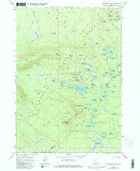 Packsaddle Mtn Oregon Historical topographic map, 1:24000 scale, 7.5 X 7.5 Minute, Year 1963