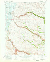 Page Springs Oregon Historical topographic map, 1:24000 scale, 7.5 X 7.5 Minute, Year 1967