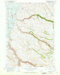 Page Springs Oregon Historical topographic map, 1:24000 scale, 7.5 X 7.5 Minute, Year 1967