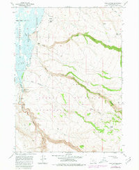 Page Springs Oregon Historical topographic map, 1:24000 scale, 7.5 X 7.5 Minute, Year 1967