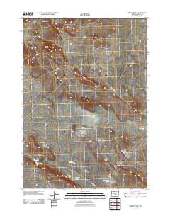 Paiute Butte Oregon Historical topographic map, 1:24000 scale, 7.5 X 7.5 Minute, Year 2011