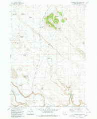 Palomino Buttes Oregon Historical topographic map, 1:24000 scale, 7.5 X 7.5 Minute, Year 1980