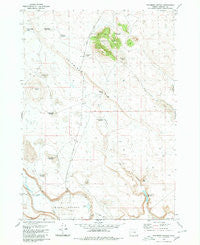 Palomino Buttes Oregon Historical topographic map, 1:24000 scale, 7.5 X 7.5 Minute, Year 1980