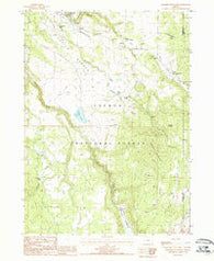 Paradise Mountain Oregon Historical topographic map, 1:24000 scale, 7.5 X 7.5 Minute, Year 1988