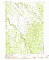Paradise Mountain Oregon Historical topographic map, 1:24000 scale, 7.5 X 7.5 Minute, Year 1988