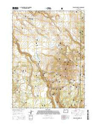 Paradise Mountain Oregon Current topographic map, 1:24000 scale, 7.5 X 7.5 Minute, Year 2014