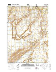 Paulina Oregon Current topographic map, 1:24000 scale, 7.5 X 7.5 Minute, Year 2014