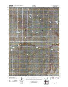 Peacock Lake Oregon Historical topographic map, 1:24000 scale, 7.5 X 7.5 Minute, Year 2011