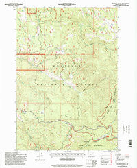 Pearson Ridge Oregon Historical topographic map, 1:24000 scale, 7.5 X 7.5 Minute, Year 1995