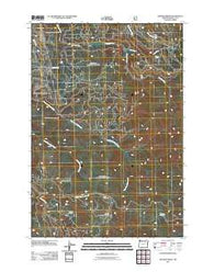 Pearson Ridge Oregon Historical topographic map, 1:24000 scale, 7.5 X 7.5 Minute, Year 2011