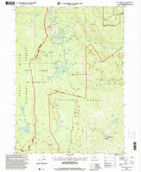 Pelican Butte Oregon Historical topographic map, 1:24000 scale, 7.5 X 7.5 Minute, Year 1998