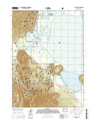 Pelican Bay Oregon Current topographic map, 1:24000 scale, 7.5 X 7.5 Minute, Year 2014