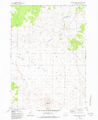 Peters Creek Sink Oregon Historical topographic map, 1:24000 scale, 7.5 X 7.5 Minute, Year 1982