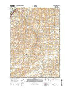 Petersburg Oregon Current topographic map, 1:24000 scale, 7.5 X 7.5 Minute, Year 2014