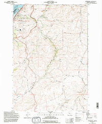 Petersburg Oregon Historical topographic map, 1:24000 scale, 7.5 X 7.5 Minute, Year 1994