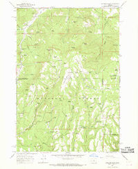 Peterson Point Oregon Historical topographic map, 1:24000 scale, 7.5 X 7.5 Minute, Year 1966