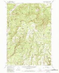 Peterson Point Oregon Historical topographic map, 1:24000 scale, 7.5 X 7.5 Minute, Year 1966