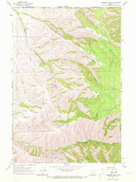 Peterson Ridge Oregon Historical topographic map, 1:24000 scale, 7.5 X 7.5 Minute, Year 1963