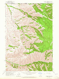 Peterson Ridge Oregon Historical topographic map, 1:24000 scale, 7.5 X 7.5 Minute, Year 1963