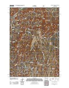 Peterson Point Oregon Historical topographic map, 1:24000 scale, 7.5 X 7.5 Minute, Year 2011