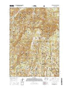 Peterson Point Oregon Current topographic map, 1:24000 scale, 7.5 X 7.5 Minute, Year 2014