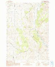 Petes Mountain Oregon Historical topographic map, 1:24000 scale, 7.5 X 7.5 Minute, Year 1990