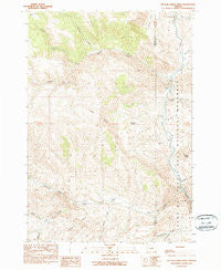 Picture Gorge West Oregon Historical topographic map, 1:24000 scale, 7.5 X 7.5 Minute, Year 1990
