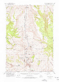 Picture Gorge Oregon Historical topographic map, 1:62500 scale, 15 X 15 Minute, Year 1953