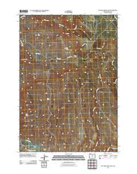 Picture Gorge East Oregon Historical topographic map, 1:24000 scale, 7.5 X 7.5 Minute, Year 2011