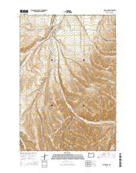 Pilot Rock Oregon Current topographic map, 1:24000 scale, 7.5 X 7.5 Minute, Year 2014