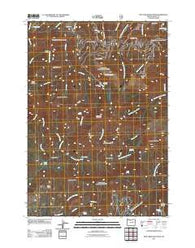 Pine Creek Mountain Oregon Historical topographic map, 1:24000 scale, 7.5 X 7.5 Minute, Year 2011