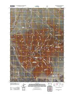 Pine Mountain Oregon Historical topographic map, 1:24000 scale, 7.5 X 7.5 Minute, Year 2011