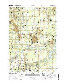 Pistol Butte Oregon Current topographic map, 1:24000 scale, 7.5 X 7.5 Minute, Year 2014
