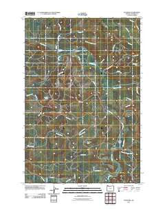 Pittsburg Oregon Historical topographic map, 1:24000 scale, 7.5 X 7.5 Minute, Year 2011