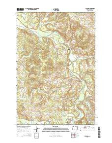 Pittsburg Oregon Current topographic map, 1:24000 scale, 7.5 X 7.5 Minute, Year 2014